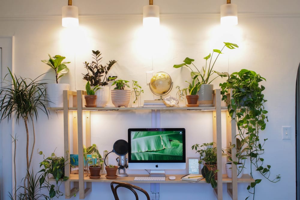 Luces de cultivo para plantas