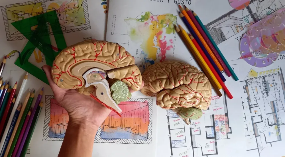 Neuroarquitectura