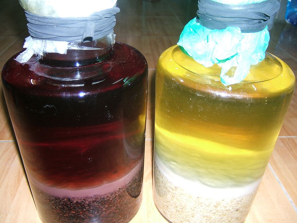 Rượu Nếp Cẩm, el licor de arroz glutinoso negro vietnamita